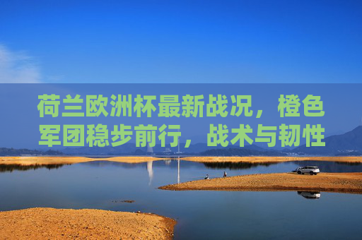 荷兰欧洲杯最新战况，橙色军团稳步前行，战术与韧性并存