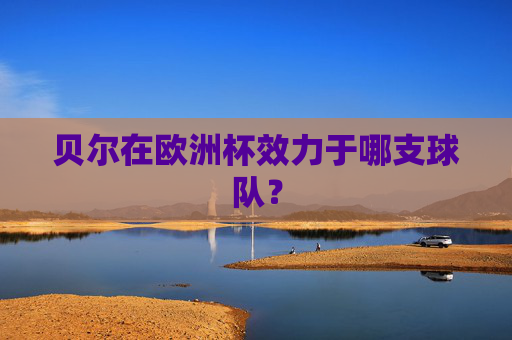 贝尔在欧洲杯效力于哪支球队？