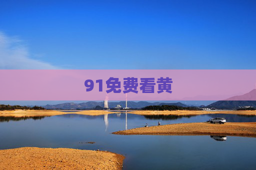 91免费看黄