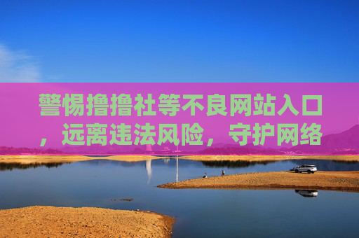 警惕撸撸社等不良网站入口，远离违法风险，守护网络安全，警惕不良网站入口，远离违法风险守护网络安全