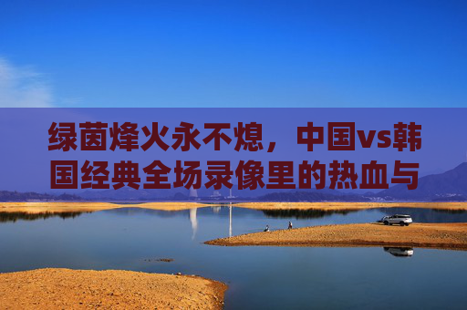 绿茵烽火永不熄，中国vs韩国经典全场录像里的热血与荣光，绿茵烽火永不熄，中韩经典全场录像里的热血荣光