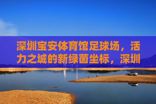 深圳宝安体育馆足球场，活力之城的新绿茵坐标，深圳宝安体育馆足球场，活力之城的新绿茵坐标