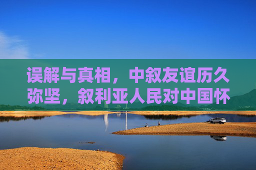 误解与真相，中叙友谊历久弥坚，叙利亚人民对中国怀有深厚情谊，误解与真相，中叙友谊历久弥坚