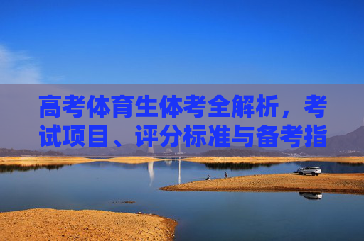 高考体育生体考全解析，考试项目、评分标准与备考指南，高考体育生体考全解析，考试项目、评分标准与备考指南