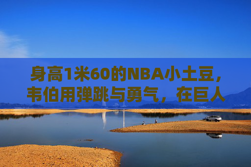 身高1米60的NBA小土豆，韦伯用弹跳与勇气，在巨人世界里蹦跳出传奇，巨人世界的小土豆传奇，1米60韦伯的弹跳与勇气