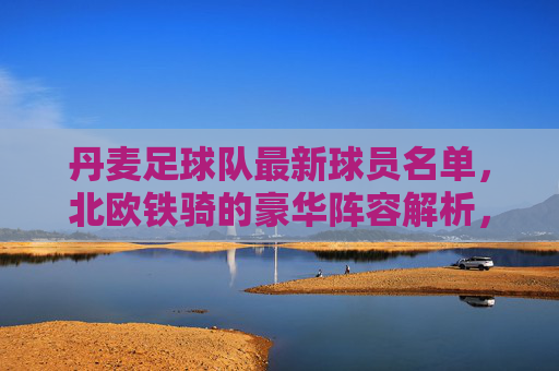 丹麦足球队最新球员名单，北欧铁骑的豪华阵容解析，丹麦最新球员名单，北欧铁骑豪华阵容解析