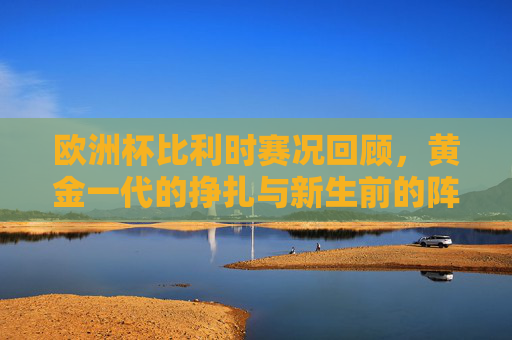 欧洲杯比利时赛况回顾，黄金一代的挣扎与新生前的阵痛，欧洲杯，比利时黄金一代的挣扎与阵痛，新生的前奏