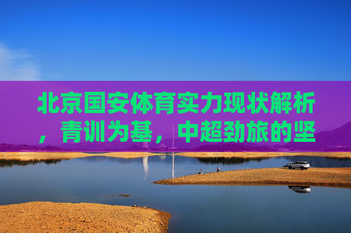 北京国安体育实力现状解析，青训为基，中超劲旅的坚守与挑战，北京国安，青训为基，中超劲旅的坚守与挑战