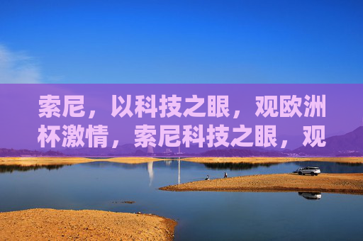 索尼，以科技之眼，观欧洲杯激情，索尼科技之眼，观欧洲杯燃情