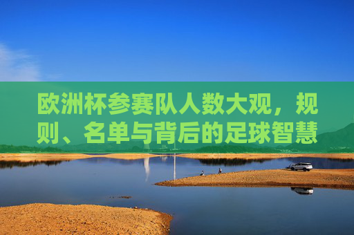 欧洲杯参赛队人数大观，规则、名单与背后的足球智慧，欧洲杯参赛队人数大观，规则、名单与足球智慧