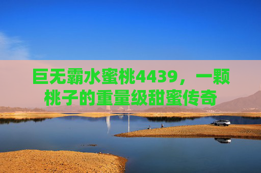巨无霸水蜜桃4439,一颗桃子的重量级甜蜜传奇 巨无霸水蜜桃4439,一颗桃子的重量级甜蜜传奇