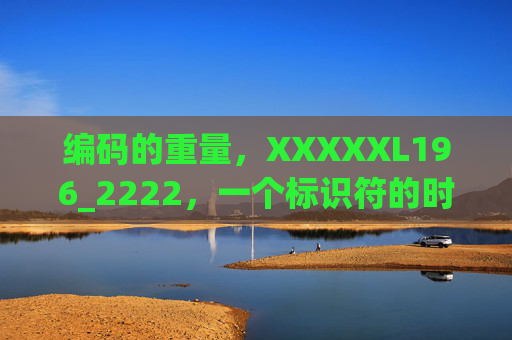 编码的重量，XXXXXL196_2222，一个标识符的时代注脚，编码的重量，标识符的时代注脚