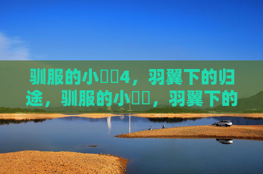 驯服的小䴙䴘4，羽翼下的归途，驯服的小䴙䴘，羽翼下的归途