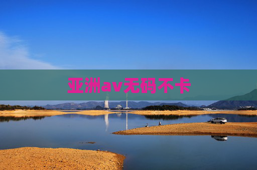 亚洲av无码不卡