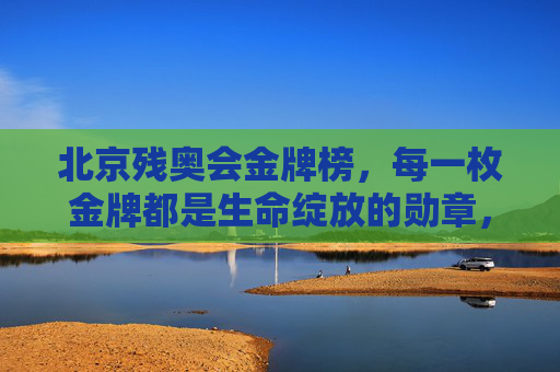 北京残奥会金牌榜，每一枚金牌都是生命绽放的勋章，北京残奥会金牌榜，生命绽放的勋章