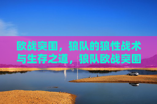 欧战突围，狼队的狼性战术与生存之道，狼队欧战突围，狼性战术铸就生存之道