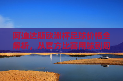 阿迪达斯欧洲杯足球价格全解析，从官方比赛用球到周边款，你了解多少？阿迪达斯欧洲杯足球价格全解析，从官方用球到周边款