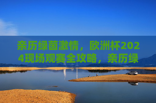 亲历绿茵激情,欧洲杯2024现场观赛全攻略,亲历绿茵激情,欧洲杯2024现场观赛全攻略 亲历绿茵激情,欧洲杯2024现场观赛全攻略,亲历绿茵激情,欧洲杯2024现场观赛全攻略