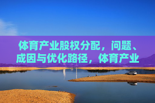 体育产业股权分配,问题、成因与优化路径,体育产业股权分配,问题、成因与优化路径 体育产业股权分配,问题、成因与优化路径,体育产业股权分配,问题、成因与优化路径