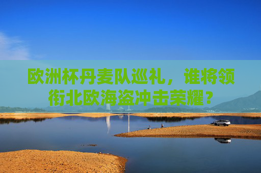 欧洲杯丹麦队巡礼，谁将领衔北欧海盗冲击荣耀？
