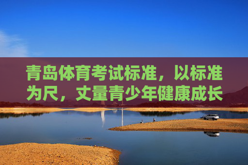 青岛体育考试标准，以标准为尺，丈量青少年健康成长之路，青岛体育考试标准，丈量青少年健康成长的标尺