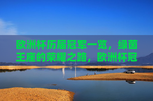 欧洲杯历届冠军一览，绿茵王座的荣耀之路，欧洲杯冠军荣耀录，绿茵王座的加冕之路
