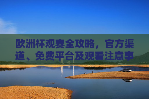 欧洲杯观赛全攻略，官方渠道、免费平台及观看注意事项