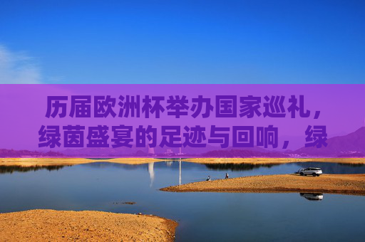 历届欧洲杯举办国家巡礼,绿茵盛宴的足迹与回响,绿茵足迹,欧洲杯举办国的巡礼与回响 历届欧洲杯举办国家巡礼,绿茵盛宴的足迹与回响,绿茵足迹,欧洲杯举办国的巡礼与回响