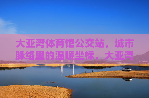 大亚湾体育馆公交站，城市脉络里的温暖坐标，大亚湾体育馆公交站，城市脉络里的温暖坐标