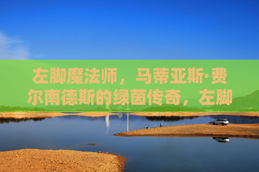 左脚魔法师,马蒂亚斯·费尔南德斯的绿茵传奇,左脚魔法师马蒂亚斯·费尔南德斯绿茵传奇 左脚魔法师,马蒂亚斯·费尔南德斯的绿茵传奇,左脚魔法师马蒂亚斯·费尔南德斯绿茵传奇