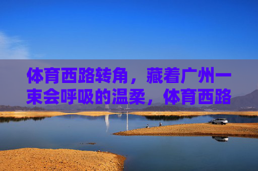 体育西路转角,藏着广州一束会呼吸的温柔,体育西路转角,藏着广州一束会呼吸的温柔 体育西路转角,藏着广州一束会呼吸的温柔,体育西路转角,藏着广州一束会呼吸的温柔