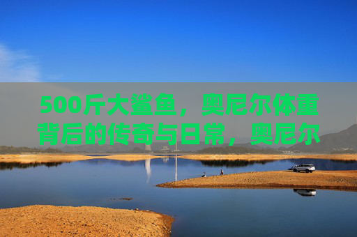 500斤大鲨鱼,奥尼尔体重背后的传奇与日常,奥尼尔,500斤大鲨鱼的传奇与日常 500斤大鲨鱼,奥尼尔体重背后的传奇与日常,奥尼尔,500斤大鲨鱼的传奇与日常