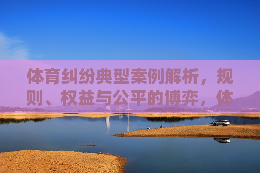 体育纠纷典型案例解析,规则、权益与公平的博弈,体育纠纷典型案例解析,规则、权益与公平的博弈 体育纠纷典型案例解析,规则、权益与公平的博弈,体育纠纷典型案例解析,规则、权益与公平的博弈