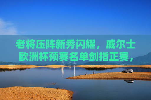 老将压阵新秀闪耀,威尔士欧洲杯预赛名单剑指正赛,威尔士老将新秀闪耀,欧洲杯预赛名单剑指正赛 老将压阵新秀闪耀,威尔士欧洲杯预赛名单剑指正赛,威尔士老将新秀闪耀,欧洲杯预赛名单剑指正赛