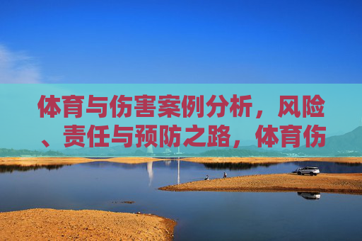 体育与伤害案例分析,风险、责任与预防之路,体育伤害案例分析,风险、责任与预防之路 体育与伤害案例分析,风险、责任与预防之路,体育伤害案例分析,风险、责任与预防之路
