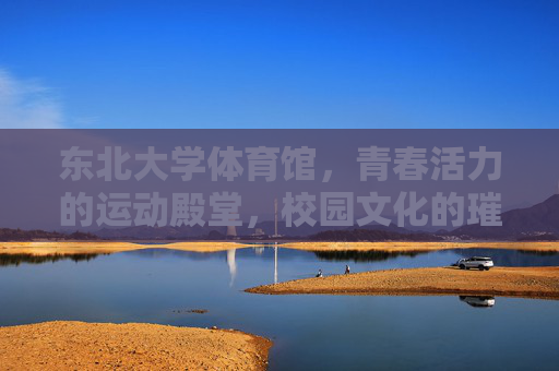 东北大学体育馆,青春活力的运动殿堂,校园文化的璀璨地标,东北大学体育馆,青春活力运动文化地标 东北大学体育馆,青春活力的运动殿堂,校园文化的璀璨地标,东北大学体育馆,青春活力运动文化地标