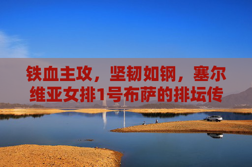 铁血主攻,坚韧如钢,塞尔维亚女排1号布萨的排坛传奇,铁血主攻布萨,坚韧铸就塞尔维亚排坛传奇 铁血主攻,坚韧如钢,塞尔维亚女排1号布萨的排坛传奇,铁血主攻布萨,坚韧铸就塞尔维亚排坛传奇