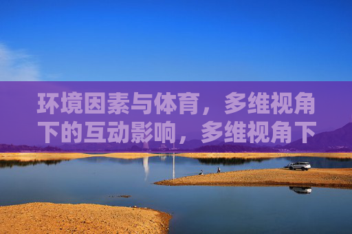环境因素与体育,多维视角下的互动影响,多维视角下环境因素与体育的互动影响 环境因素与体育,多维视角下的互动影响,多维视角下环境因素与体育的互动影响