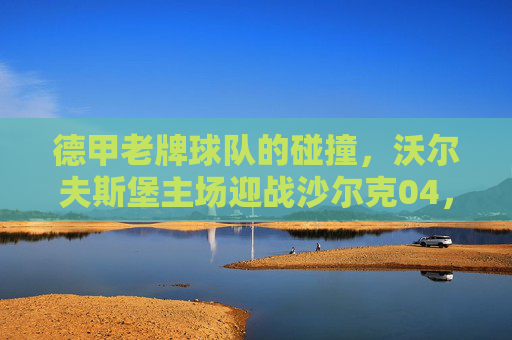 德甲老牌球队的碰撞，沃尔夫斯堡主场迎战沙尔克04，保级关键战一触即发，德甲保级关键战，沃尔夫斯堡主场迎战沙尔克04