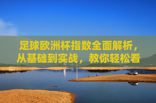 足球欧洲杯指数全面解析，从基础到实战，教你轻松看懂盘赔，欧洲杯指数全面解析，从基础到实战，轻松看懂盘赔