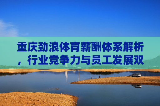 重庆劲浪体育薪酬体系解析，行业竞争力与员工发展双驱动，重庆劲浪体育薪酬体系解析，行业竞争力与员工发展双驱动
