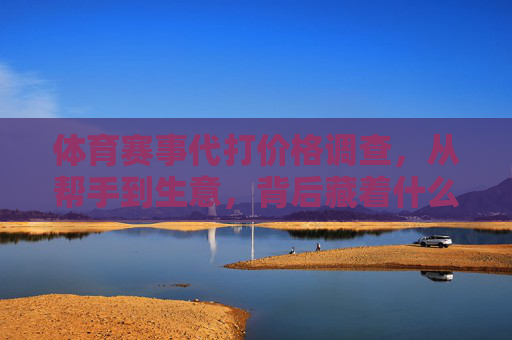 体育赛事代打价格调查,从帮手到生意,背后藏着什么?体育赛事代打,从帮手到生意的背后 体育赛事代打价格调查,从帮手到生意,背后藏着什么?体育赛事代打,从帮手到生意的背后