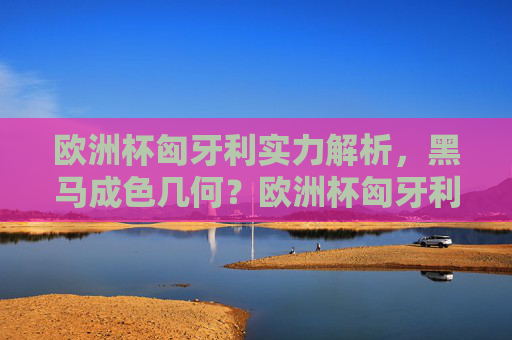 欧洲杯匈牙利实力解析,黑马成色几何?欧洲杯匈牙利黑马成色解析 欧洲杯匈牙利实力解析,黑马成色几何?欧洲杯匈牙利黑马成色解析