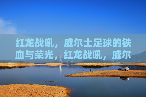 红龙战吼,威尔士足球的铁血与荣光,红龙战吼,威尔士足球的铁血荣光 红龙战吼,威尔士足球的铁血与荣光,红龙战吼,威尔士足球的铁血荣光