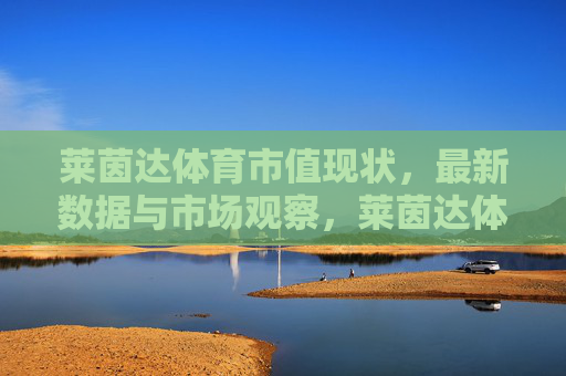 莱茵达体育市值现状，最新数据与市场观察，莱茵达体育市值现状，最新数据与市场观察
