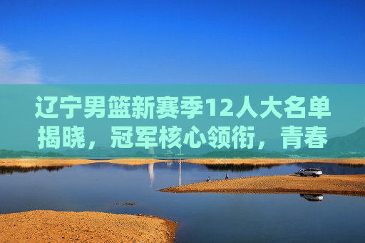 辽宁男篮新赛季12人大名单揭晓,冠军核心领衔,青春力量蓄势待发,辽宁男篮新赛季12人名单,冠军核心领衔,青春力量蓄势待发 辽宁男篮新赛季12人大名单揭晓,冠军核心领衔,青春力量蓄势待发,辽宁男篮新赛季12人名单,冠军核心领衔,青春力量蓄势待发