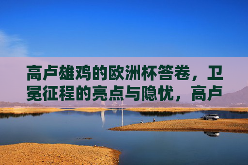 高卢雄鸡的欧洲杯答卷,卫冕征程的亮点与隐忧,高卢雄鸡欧洲杯卫冕答卷,亮点与隐忧 高卢雄鸡的欧洲杯答卷,卫冕征程的亮点与隐忧,高卢雄鸡欧洲杯卫冕答卷,亮点与隐忧