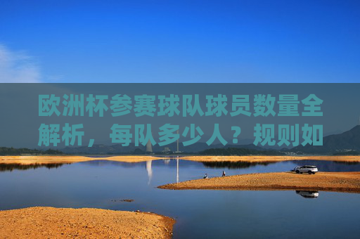 欧洲杯参赛球队球员数量全解析，每队多少人？规则如何？欧洲杯球队球员数量及规则全解析