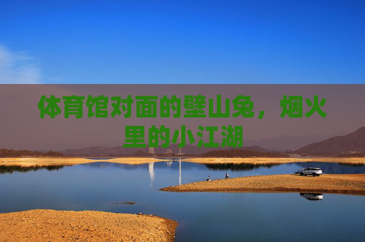 体育馆对面的壁山兔，烟火里的小江湖