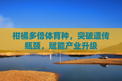 柑橘多倍体育种,突破遗传瓶颈,赋能产业升级 柑橘多倍体育种,突破遗传瓶颈,赋能产业升级